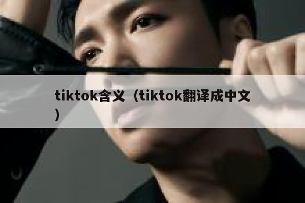 tiktok含义（tiktok翻译成中文） 第1张