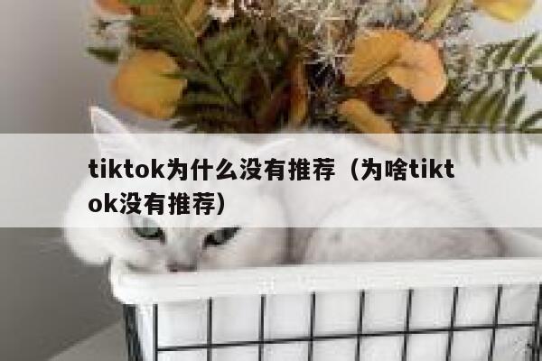 tiktok为什么没有推荐（为啥tiktok没有推荐） 第1张