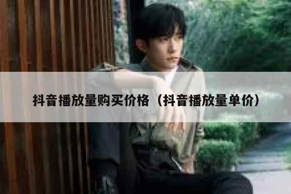 抖音播放量购买价格（抖音播放量单价） 第1张