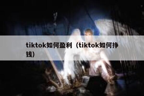 tiktok如何盈利（tiktok如何挣钱） 第1张