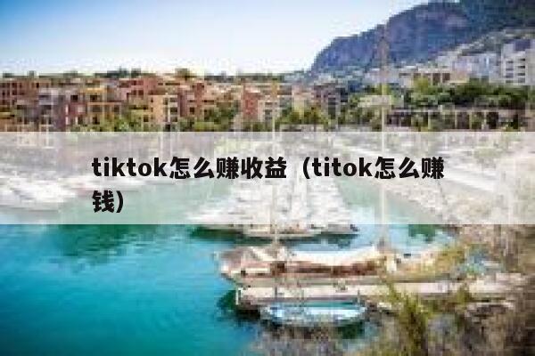 tiktok怎么赚收益（titok怎么赚钱） 第1张