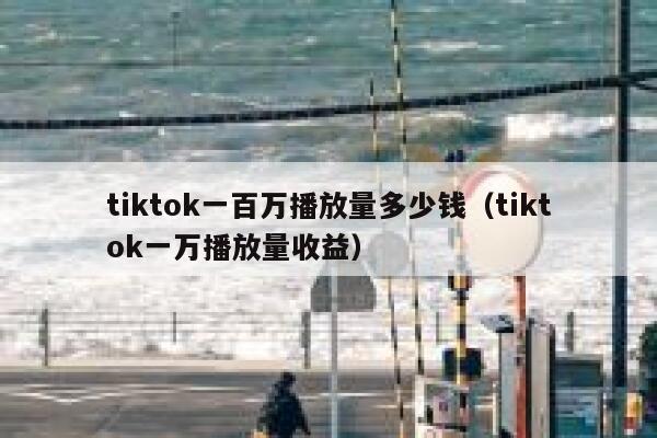 tiktok一百万播放量多少钱（tiktok一万播放量收益） 第1张