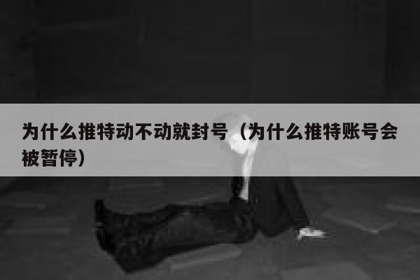 为什么推特动不动就封号（为什么推特账号会被暂停） 第1张