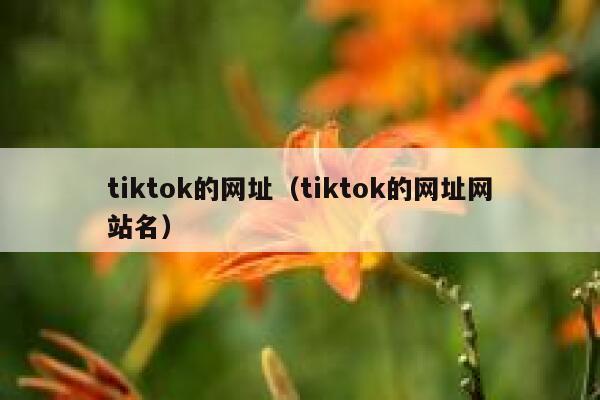 tiktok的网址（tiktok的网址网站名） 第1张