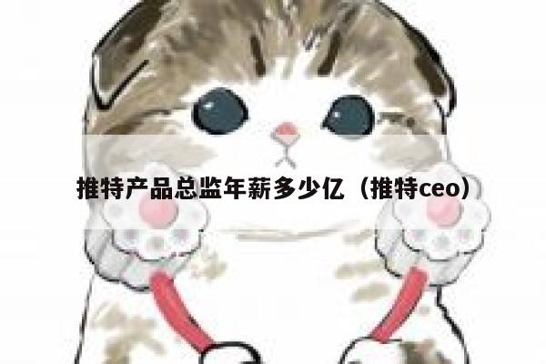 推特产品总监年薪多少亿（推特ceo） 第1张