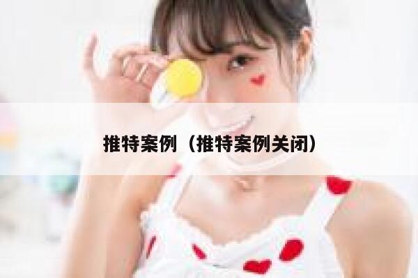 推特案例（推特案例关闭） 第1张