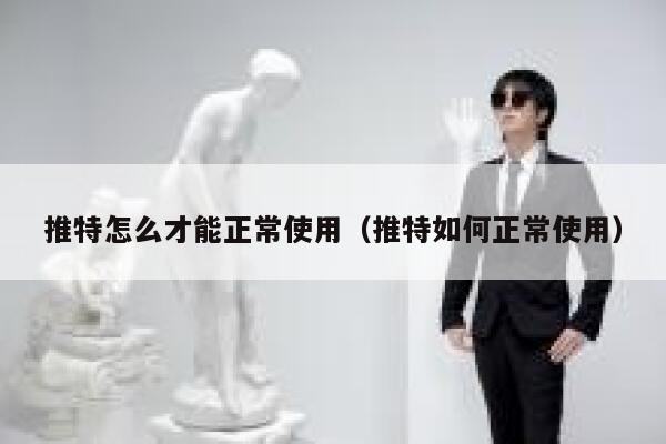 推特怎么才能正常使用（推特如何正常使用） 第1张