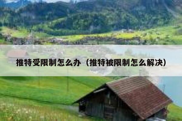 推特受限制怎么办（推特被限制怎么解决） 第1张