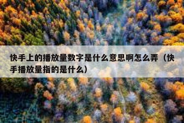 快手上的播放量数字是什么意思啊怎么弄（快手播放量指的是什么） 第1张