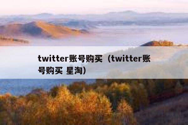 twitter账号购买（twitter账号购买 星淘） 第1张