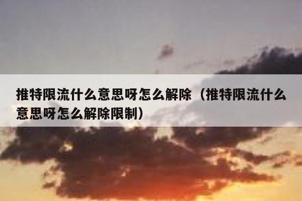 推特限流什么意思呀怎么解除（推特限流什么意思呀怎么解除限制） 第1张