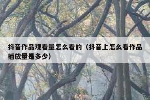 抖音作品观看量怎么看的（抖音上怎么看作品播放量是多少） 第1张