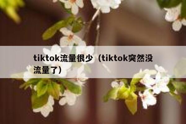tiktok流量很少(tiktok突然没流量了) 第1张 tiktok流量很少(tiktok突然没流量了) 第1张