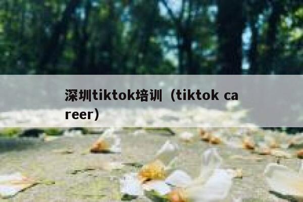 深圳tiktok培训（tiktok career） 第1张