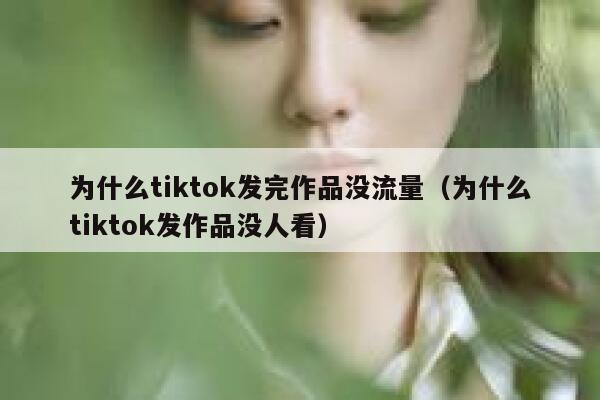 为什么tiktok发完作品没流量（为什么tiktok发作品没人看） 第1张