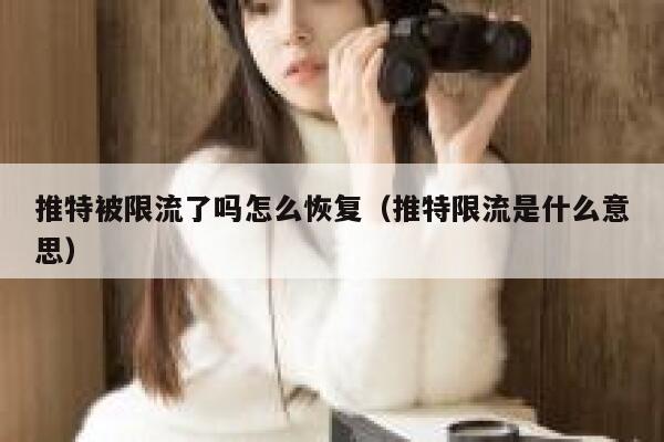 推特被限流了吗怎么恢复(推特限流是什么意思) 第1张 推特被限流了吗怎么恢复(推特限流是什么意思) 第1张