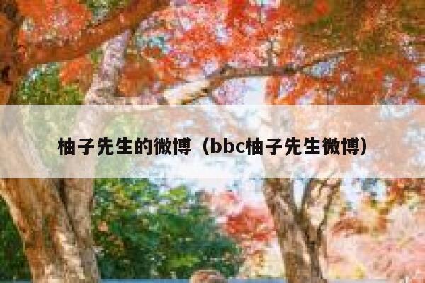 柚子先生的微博（bbc柚子先生微博） 第1张