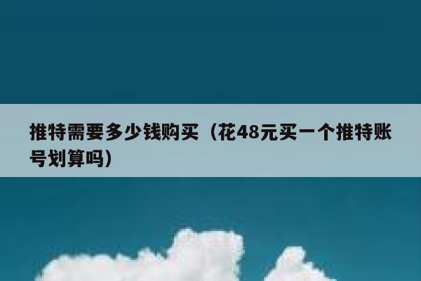 推特需要多少钱购买（花48元买一个推特账号划算吗） 第1张