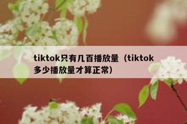 tiktok只有几百播放量（tiktok多少播放量才算正常） 第1张