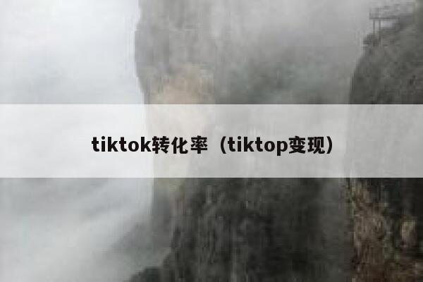 tiktok转化率（tiktop变现） 第1张