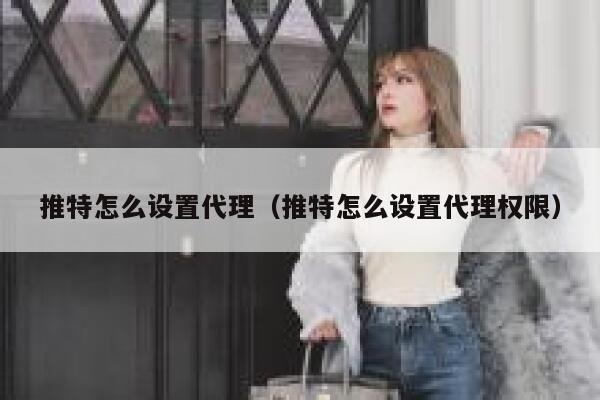 推特怎么设置代理（推特怎么设置代理权限） 第1张