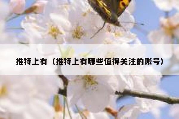 推特上有（推特上有哪些值得关注的账号） 第1张