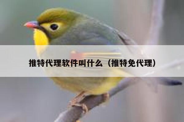 推特代理软件叫什么(推特免代理) 第1张 推特代理软件叫什么(推特免代理) 第1张