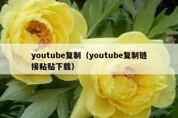 youtube复制（youtube复制链接粘贴下载） 第1张