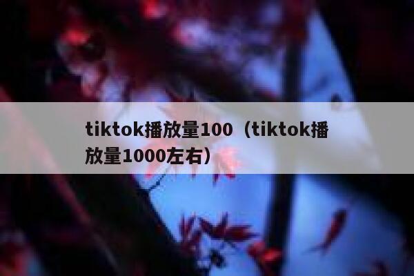 tiktok播放量100（tiktok播放量1000左右） 第1张