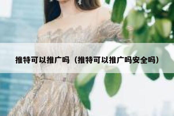 推特可以推广吗（推特可以推广吗安全吗） 第1张