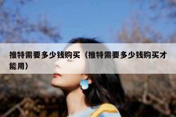 推特需要多少钱购买(推特需要多少钱购买才能用) 第1张 推特需要多少钱购买(推特需要多少钱购买才能用) 第1张