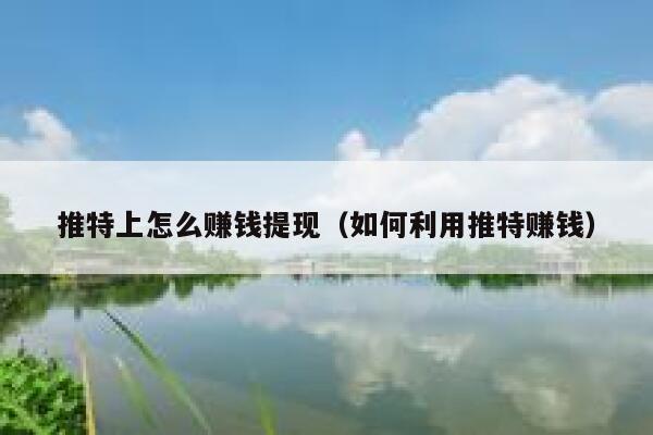 推特上怎么赚钱提现(如何利用推特赚钱) 第1张 推特上怎么赚钱提现(如何利用推特赚钱) 第1张