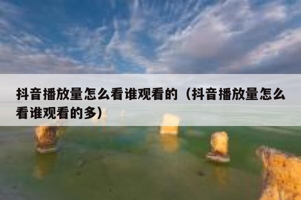 抖音播放量怎么看谁观看的（抖音播放量怎么看谁观看的多） 第1张