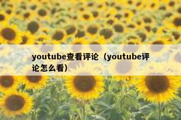 youtube查看评论(youtube评论怎么看) 第1张 youtube查看评论(youtube评论怎么看) 第1张