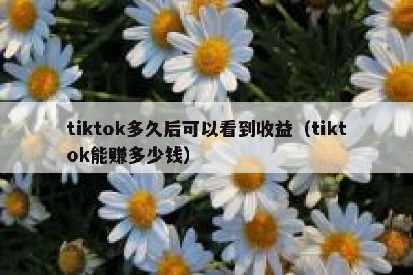 tiktok多久后可以看到收益(tiktok能赚多少钱) 第1张 tiktok多久后可以看到收益(tiktok能赚多少钱) 第1张
