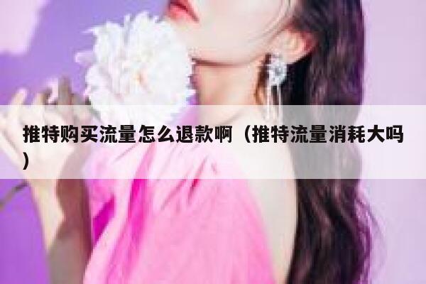 推特购买流量怎么退款啊（推特流量消耗大吗） 第1张