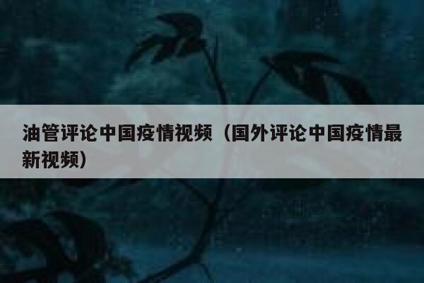 油管评论中国疫情视频(国外评论中国疫情最新视频) 第1张 油管评论中国疫情视频(国外评论中国疫情最新视频) 第1张