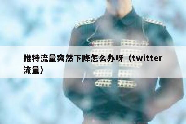 推特流量突然下降怎么办呀(twitter流量) 第1张 推特流量突然下降怎么办呀(twitter流量) 第1张
