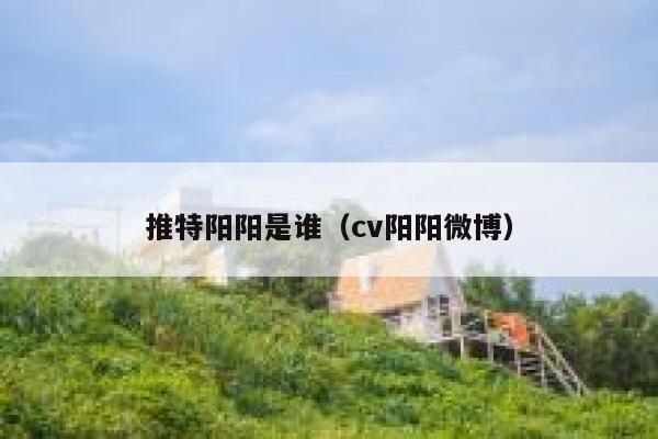 推特阳阳是谁（cv阳阳微博） 第1张