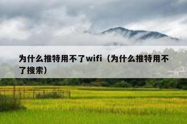 为什么推特用不了wifi（为什么推特用不了搜索） 第1张