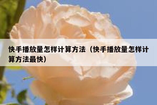 快手播放量怎样计算方法（快手播放量怎样计算方法最快） 第1张