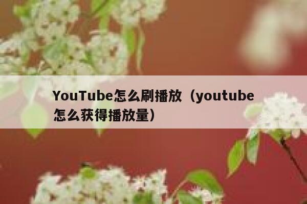 YouTube怎么刷播放（youtube怎么获得播放量） 第1张