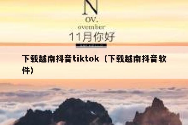 下载越南抖音tiktok（下载越南抖音软件） 第1张