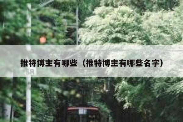 推特博主有哪些（推特博主有哪些名字） 第1张