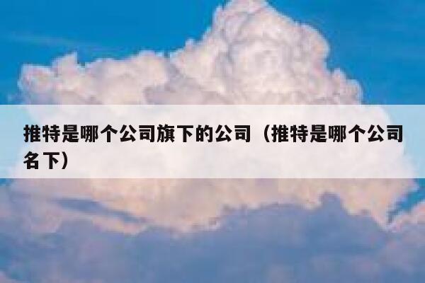 推特是哪个公司旗下的公司（推特是哪个公司名下） 第1张