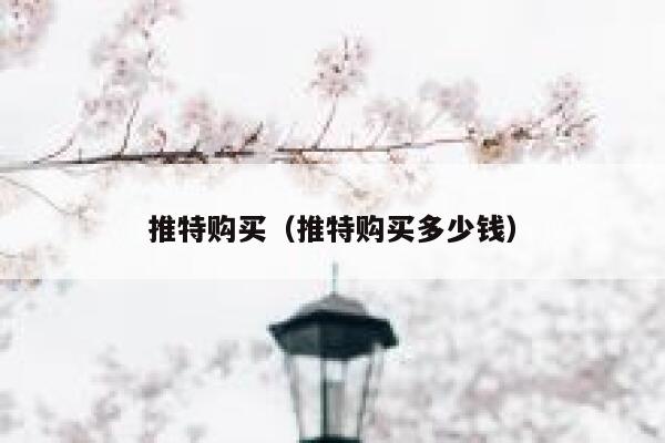 推特购买（推特购买多少钱） 第1张