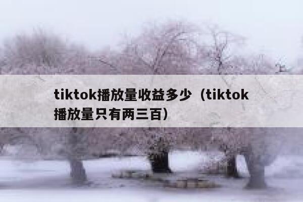 tiktok播放量收益多少（tiktok播放量只有两三百） 第1张
