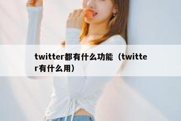 twitter都有什么功能(twitter有什么用) 第1张 twitter都有什么功能(twitter有什么用) 第1张