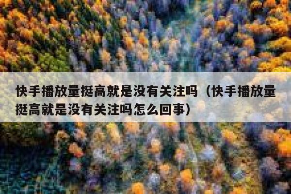 快手播放量挺高就是没有关注吗（快手播放量挺高就是没有关注吗怎么回事） 第1张
