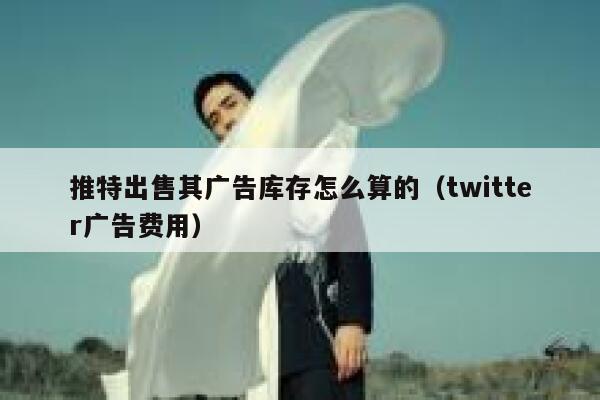推特出售其广告库存怎么算的(twitter广告费用) 第1张 推特出售其广告库存怎么算的(twitter广告费用) 第1张